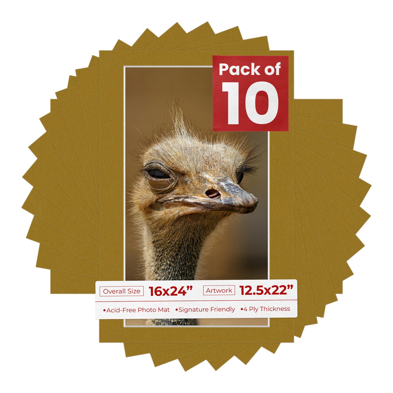 Metallic Gold Mat Board for 16x24 Frames - Fits 12.5x22 Photos